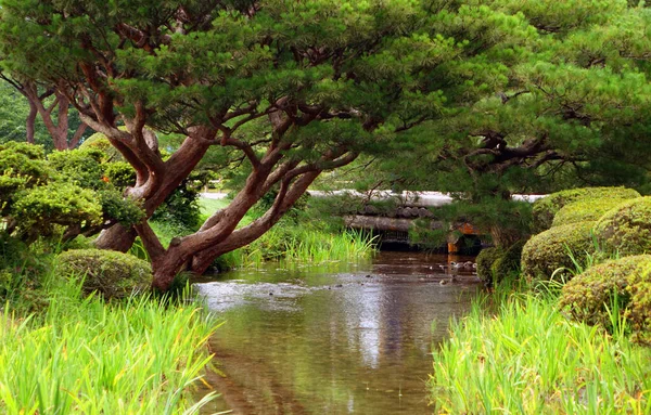 Japonię Kanazawa Park Kenroku Park Jest Znany Swojego Niespotykanego Piękna — Zdjęcie stockowe