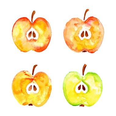 suluboya baskılar dört elma kesmek