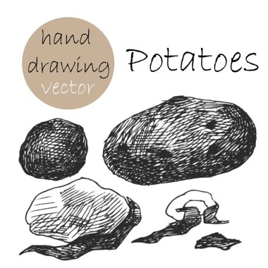 El çekilmiş patates. Tek renkli kroki. Vektör çizim.