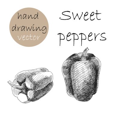 El çekilmiş tatlı biber. Tek renkli kroki. Vektör çizim.