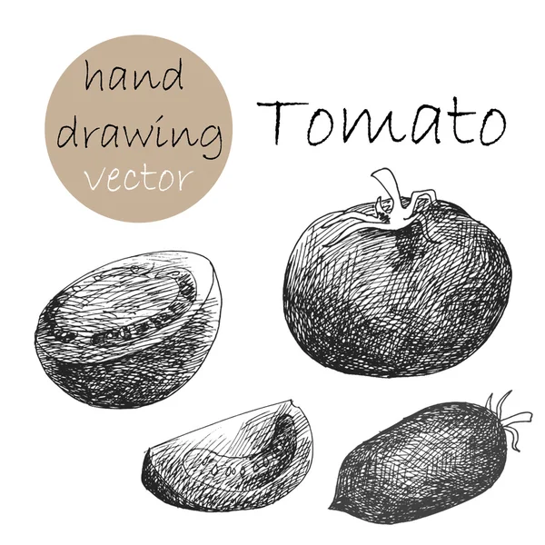 Hand getrokken tomaten. Monochroom schets. Vectorillustratie. Rechtenvrije Stockillustraties