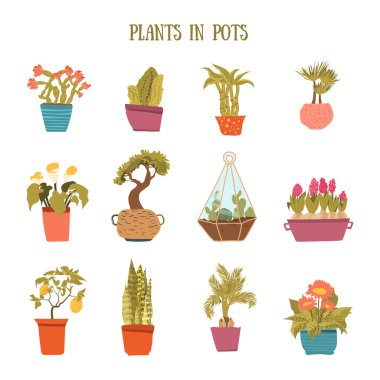 Bir dizi renkli kap karikatür tarzı çiçeklenir. Kaktüsler, limon ağacı, calla lily, bambu tencere. Vektör çizim