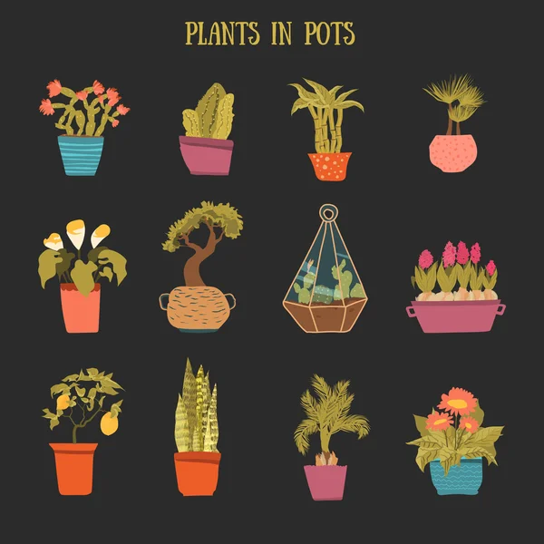 Un conjunto de ollas de colores de flores en estilo de dibujos animados. Cactus, limonero, lirio de cala, bambú en macetas sobre fondo oscuro. Ilustración vectorial — Vector de stock