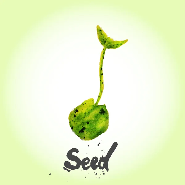 Acuarela vector verde semilla natural. EPS10 — Archivo Imágenes Vectoriales