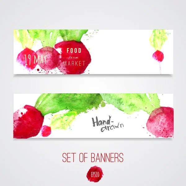 Pancartas vectoriales con acuarela rábano colorido para la granja, comida saludable. Diseño de vectores artísticos para tarjetas de felicitación, ventas, carteles . — Vector de stock