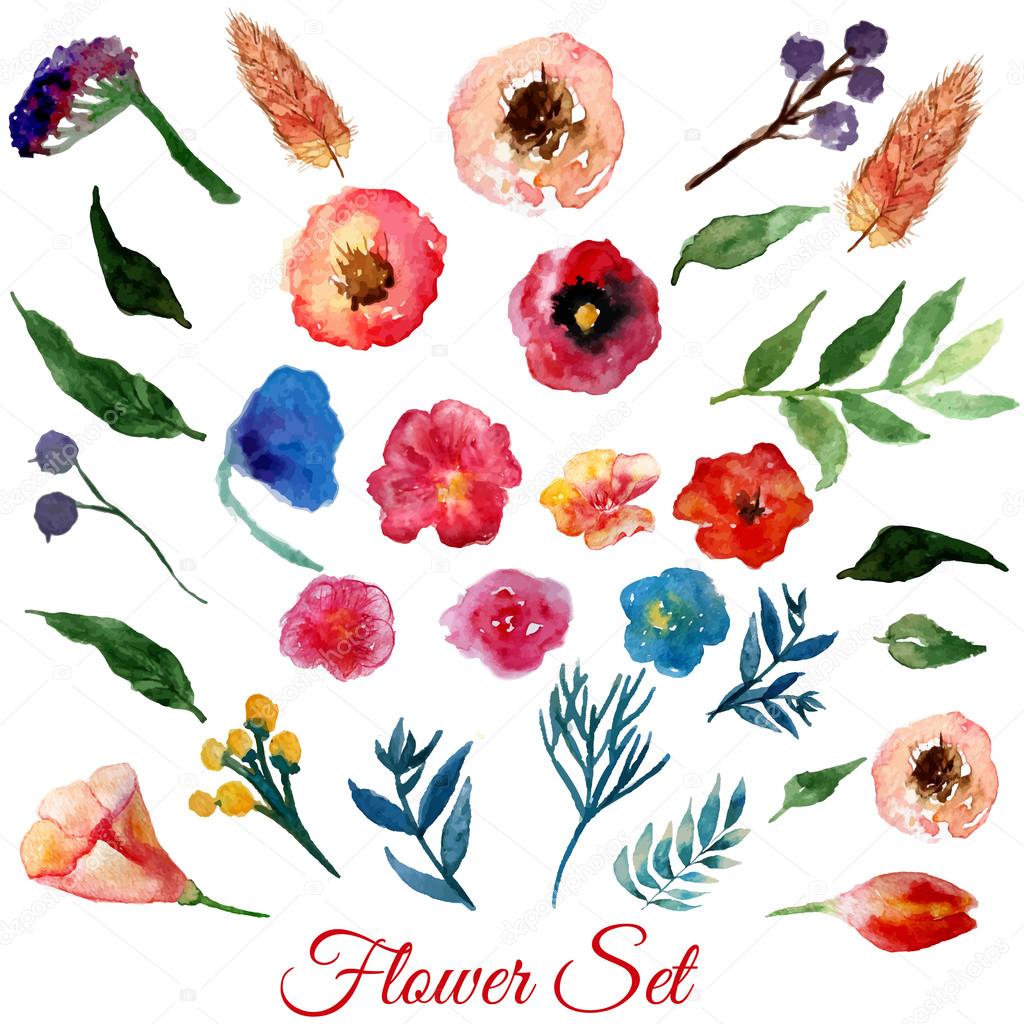 Watercolor Flower Free Vector Best Flower Site