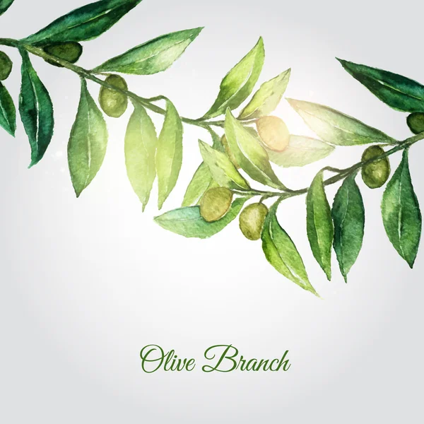 Vector watercolor hand drawn olive branch background with green leaves and shiny particles. — Stock Vector