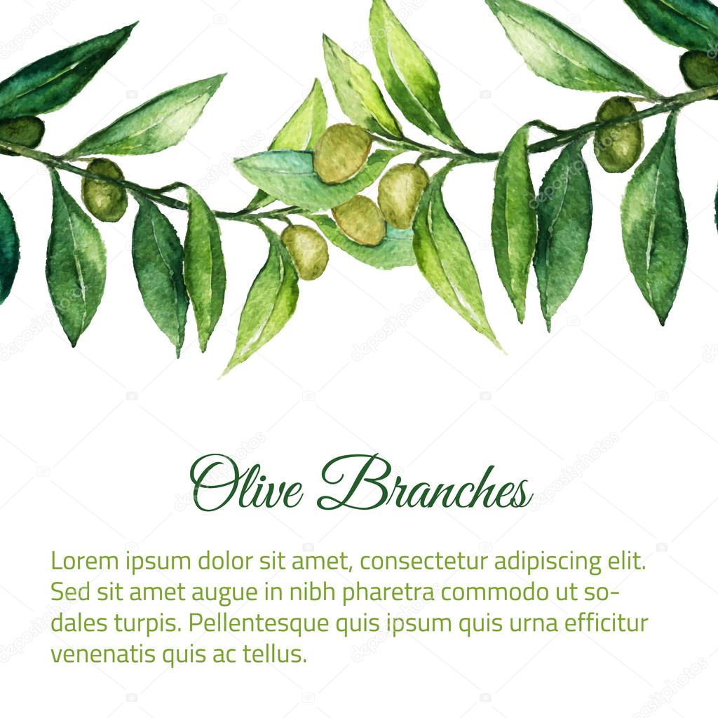 Vector watercolor hand drawn olive branch background with green leaves.