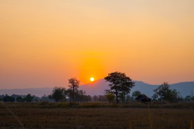 Kırsalda gün batımı