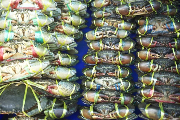crab2