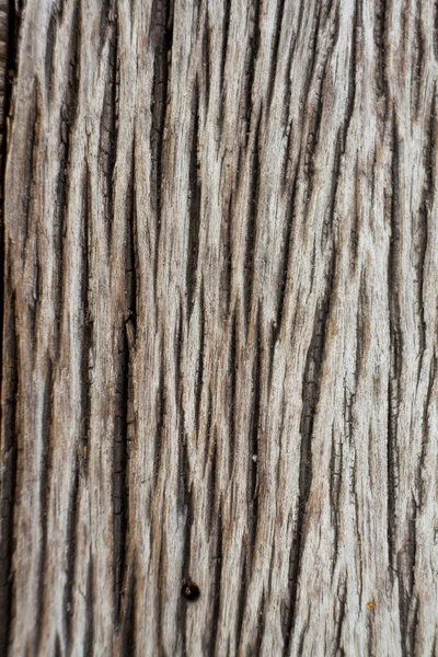 Old wood texture — Stock Photo, Image