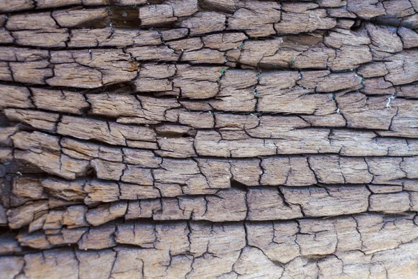 Old wood texture — Stock Photo, Image