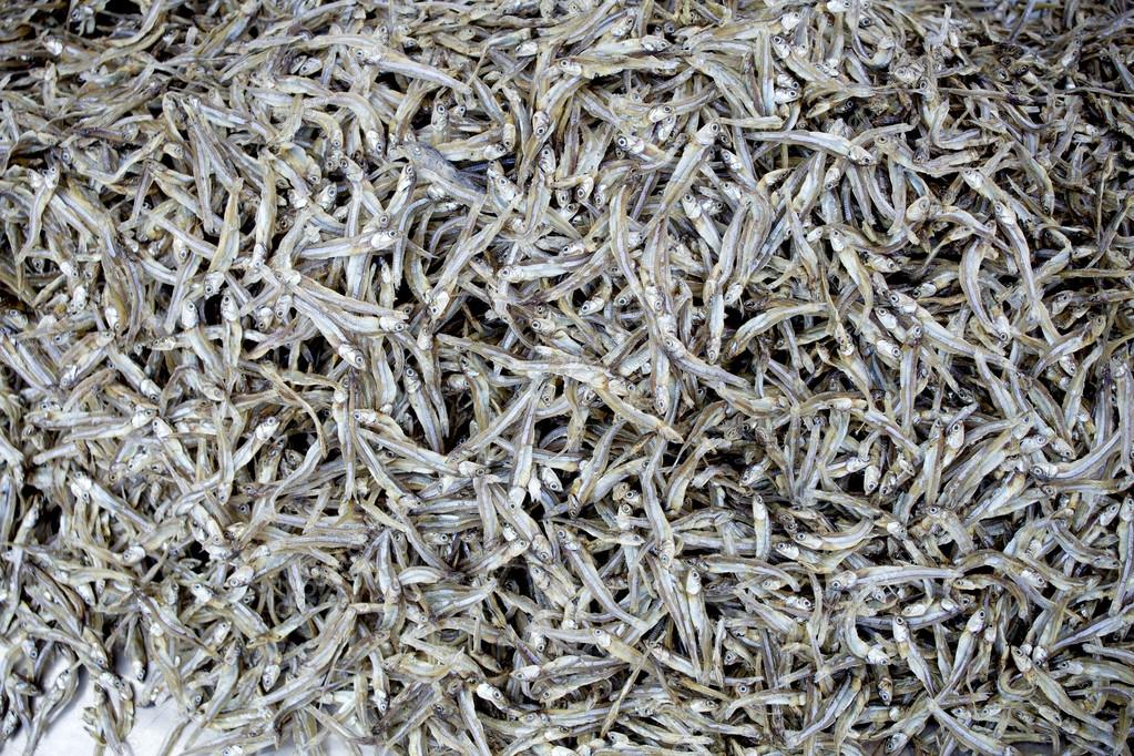 Asian dried fish spot
