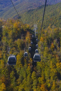 Füniküler. Orman. Sonbahar. Rusya