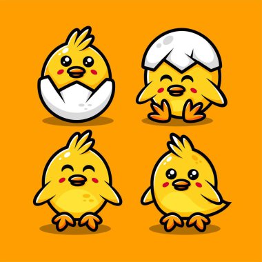 Sevimli bir piliç karakter seti.