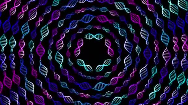 DNA. Le spirali dei segmenti ruotano e si muovono in cerchio in direzioni diverse. Blu, rosa, turchese. — Video Stock