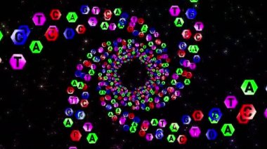 A, T, G, C. Genetik alfabe. DNA testi. Genetik biliminin harf kodlaması. Tünelde sarmal hareket.