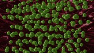 Coronavirus. Virüsler bir kan damarında döner. İnsan vücudunda birçok virüs vardır..