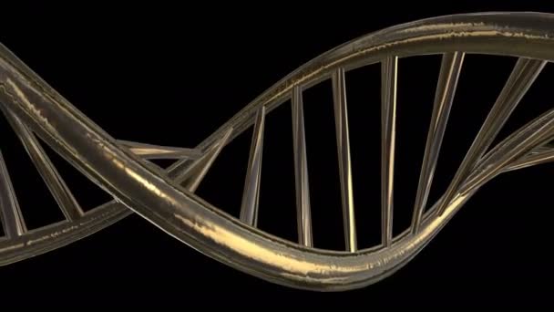 Una spirale dorata di DNA. Rotazione dei segmenti. Metallizzazione del materiale. Canale alfa. — Video Stock