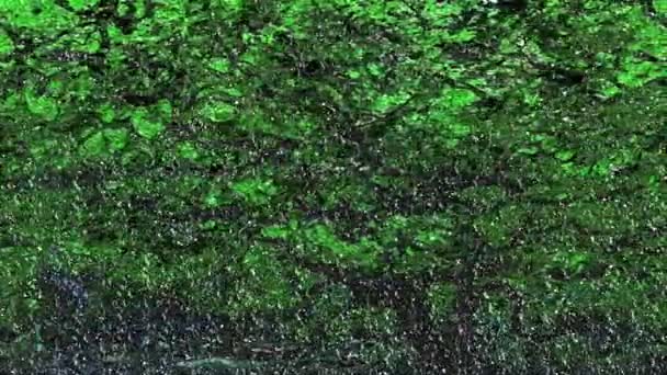 Forest. Living picture.Abstraction. Revived brush strokes. — Stock Video