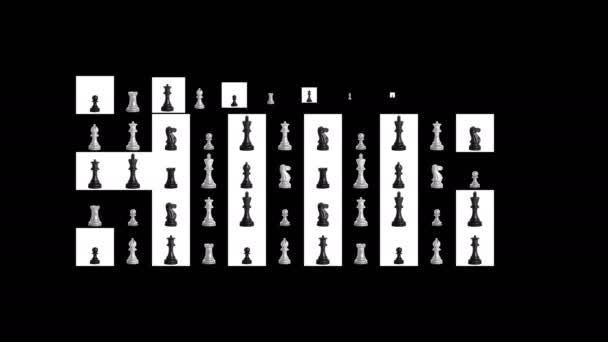 Les échecs. Assemblage en rangées de toile à partir de pièces d'échecs. Cellules noires et blanches. Arrière plan avec animation. — Video