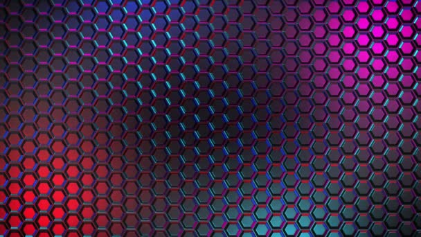 Honeycomb background. Trendy colors. Beautiful. — Stock Video