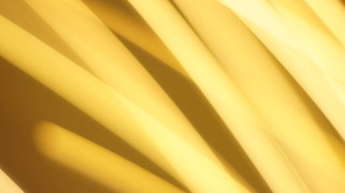 Light Bokeh Trail Soyut Doku, Fütürist için Uzun Maruziyet Sanat Arkaplanı, Kopya Uzayı ile Süslü Tasarım. Ekran Kipi Kullanımı için Hareket Bulanık, Odaklanmamış Fotoğraf Üstüste.