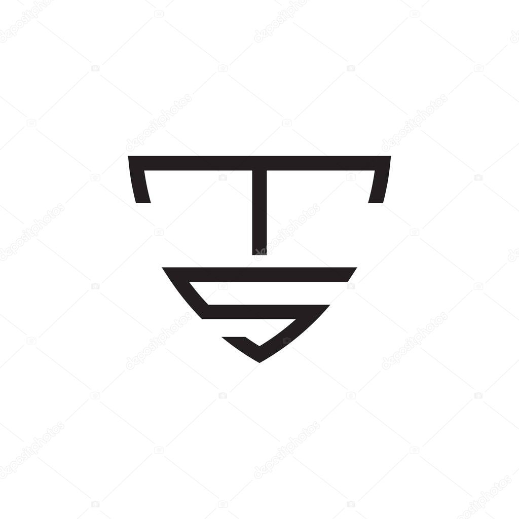 ts initial letter vector logo icon