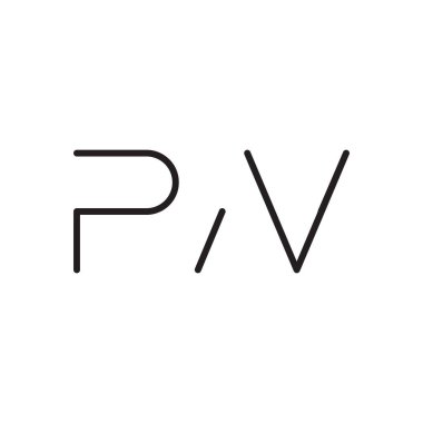 pn ilk harf vektör logo simgesi