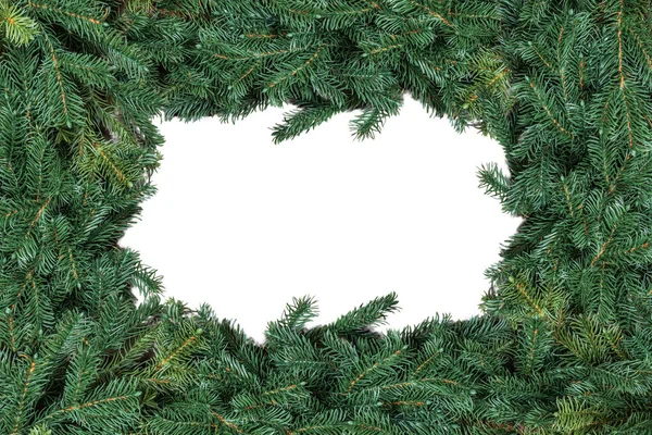 Albero Natale Rami Telaio Isolato Sfondo Bianco — Foto Stock