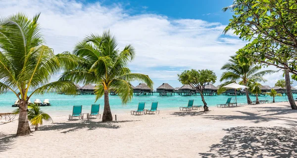 Lyxigt Resmål Vita Tropiska Stranden Society Islands Franska Polynesien — Stockfoto