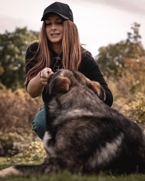 Köpeğin ağzından çubuğu çıkarmaya çalışan bir kadının şok edici bir ifade sergilediği dikey çekim. Yakalamaca oynuyor ve köpek oyuncağını bırakmıyor.
