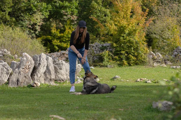 Brunette girl playing with a wild dog in a field surrounded by rocks. Holding a stick that the dog is trying to catch. Playing a typical game of fetch with a energetic dog