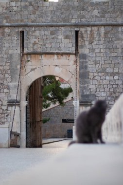 Stone tall entrance over a wooden bridge of the old city of Dubrovnik in focus, grey cat sitting on the wall blurred in foreground