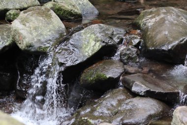 Kayaların arasından akan temiz nehir suyu.