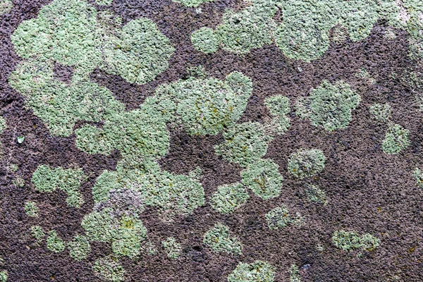 绿色苔藓粘在河边的岩石上 非常适合智能手机 平板电脑和电脑壁纸 — 图库照片