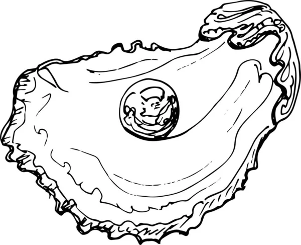 用珍珠勾画牡蛎 手绘图解 — 图库矢量图片