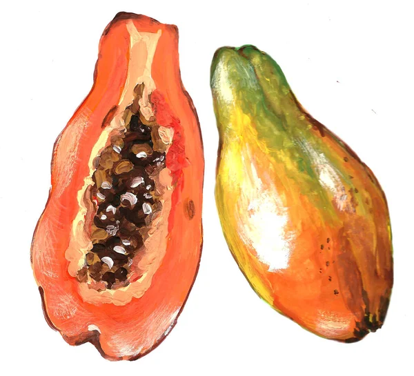 白色背景上的水彩画 水果木瓜的手绘插图 — 图库照片