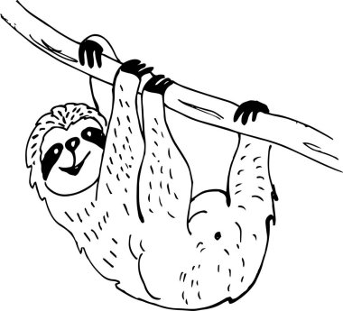   Tatlı karalama tembel hayvan ayısı. Robot resim biçiminde vektör illüstrasyonu