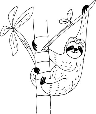   Tatlı karalama tembel hayvan ayısı. Robot resim biçiminde vektör illüstrasyonu