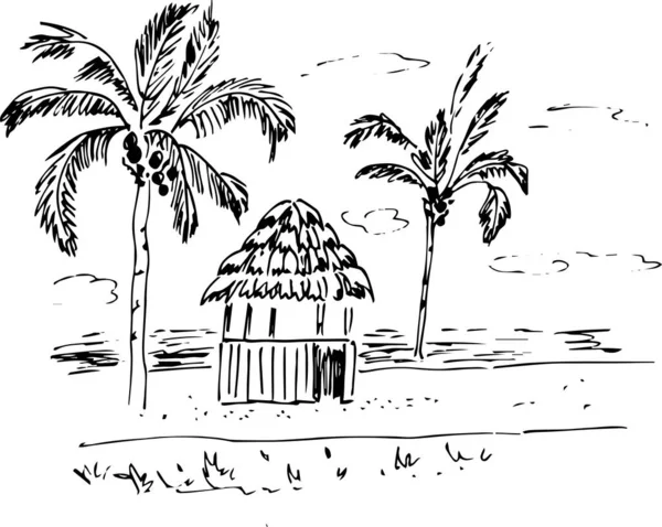 Skizze Einer Tropischen Landschaft Mit Palmen — Stockvektor