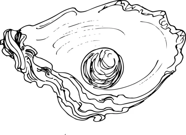 Handtekening Oester Perl Vector Illustratie Doodle Stijl — Stockvector