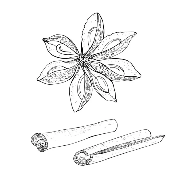 素描肉桂粘在风格单色外型 插图手绘 — 图库矢量图片