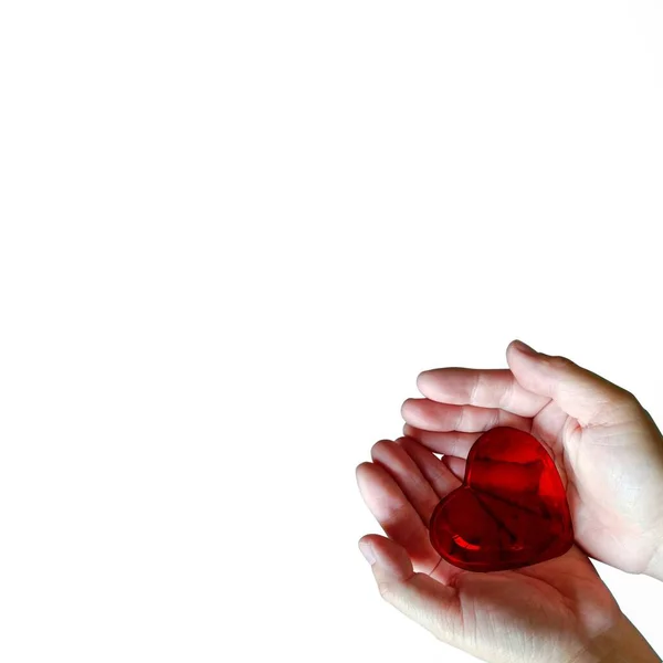 Coração Cristal Vermelho Brilhante Segurado Por Mãos Isoladas Fundo Branco — Fotografia de Stock