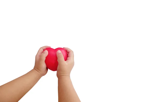 Mãos Criança Jovem Estão Segurando Coração Vermelho Isolado Fundo Branco — Fotografia de Stock