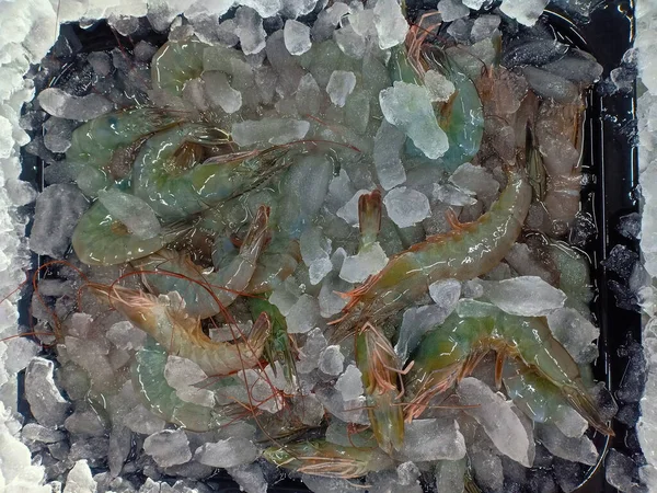 商场或超级市场出售新鲜的虾和黑色盘子里的冰 — 图库照片