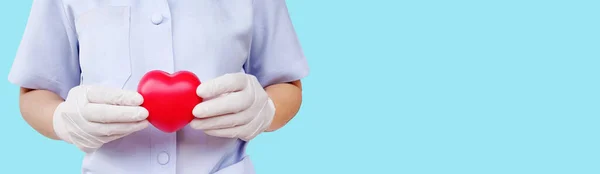 Médico Usando Luvas Brancas Segurando Coração Vermelho Isolado Fundo Azul — Fotografia de Stock