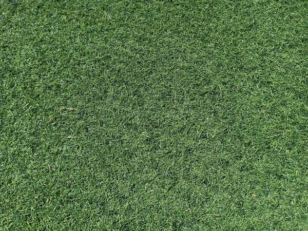 Bahçe olarak yeşil yapay çimlerin arkaplan veya dokusu.