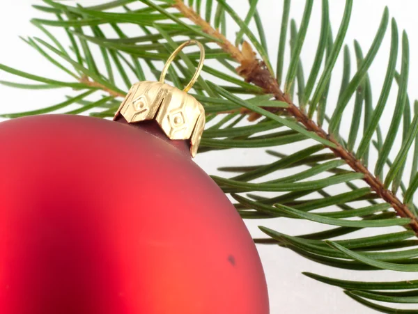 Rosso palla di Natale e ramoscello di pino . — Foto Stock
