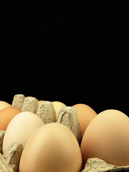 Fresh eggs in the box. — Stock Photo, Image